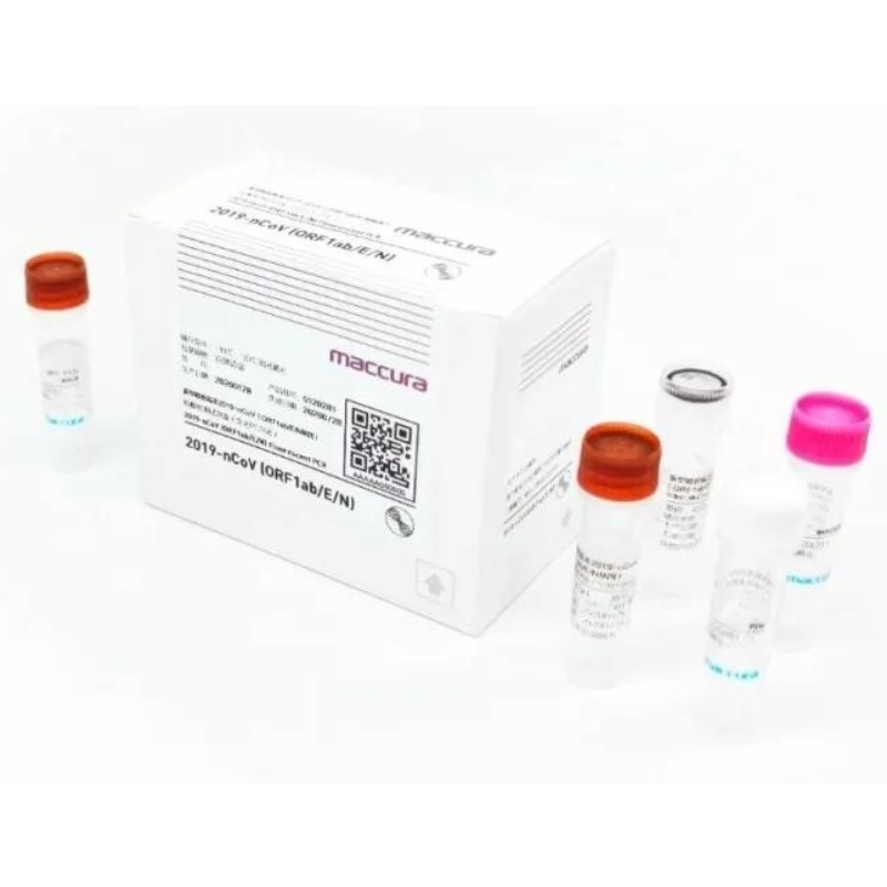 Kit SARS-CoV-2 Fluorescent PCR